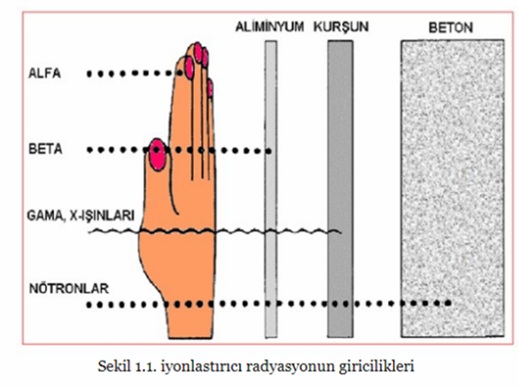 Radyasyon Etkileri ve korunma