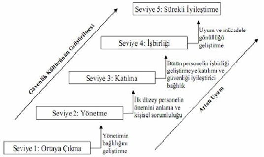 Fleming’in Güvenlik Kültürü Olgunlaşma Modeli